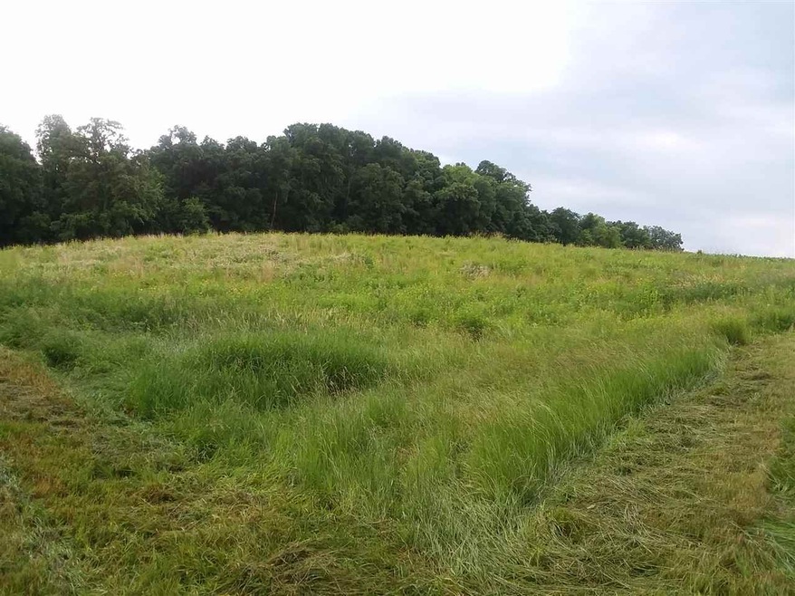 TBD 330th, Strawberry Point, IA 52076 - photo 1