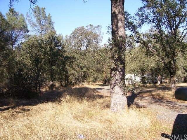 Beautiful Oak treed acreage with driveway cut in
