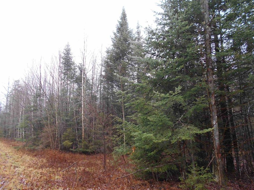 026 Mirror Lake Estates Dr unit 26, Whitefield, NH 03598 - photo 1