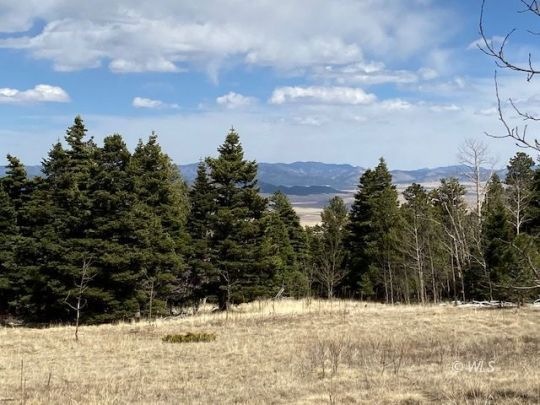 Wet Mountain Views