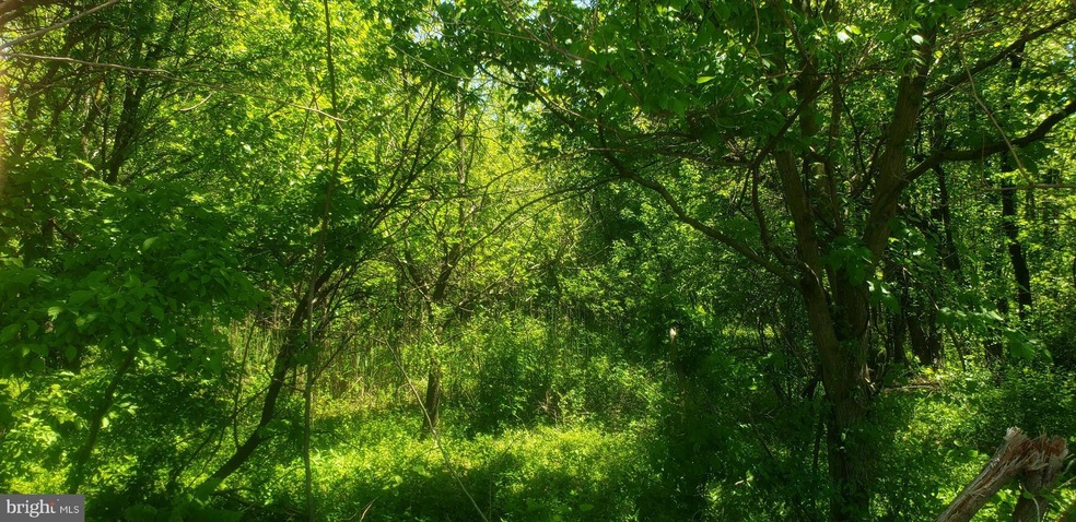 0 Homberg Ave, Essex, MD 21221 - photo 1