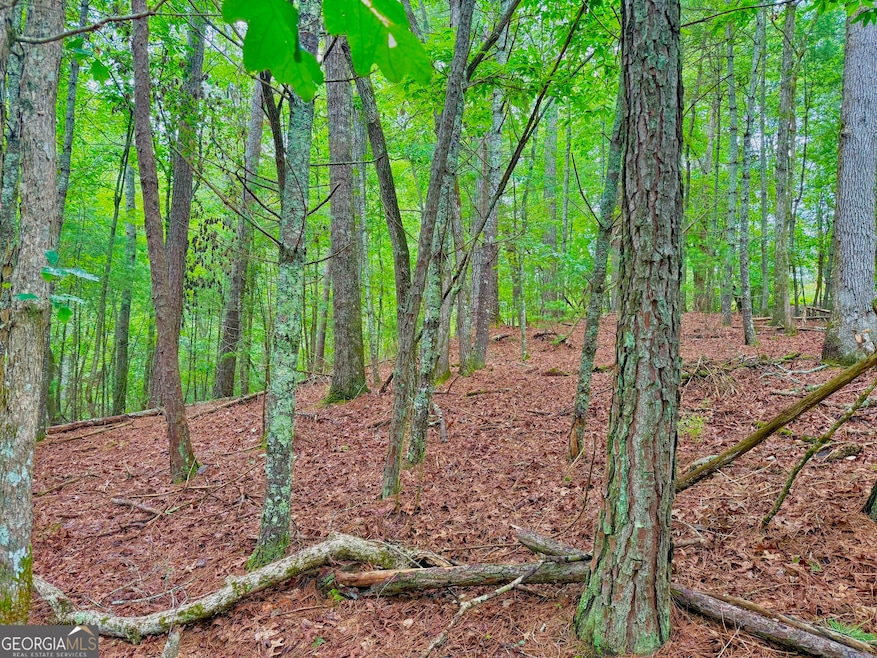 Sold $19,000 • Co-Listing Agent