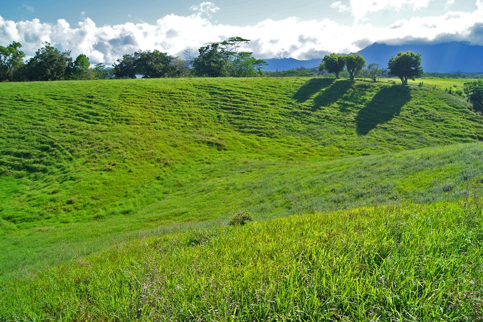 0 Olohena Rd unit 710994, Kapa?a, HI 96746 - photo 1