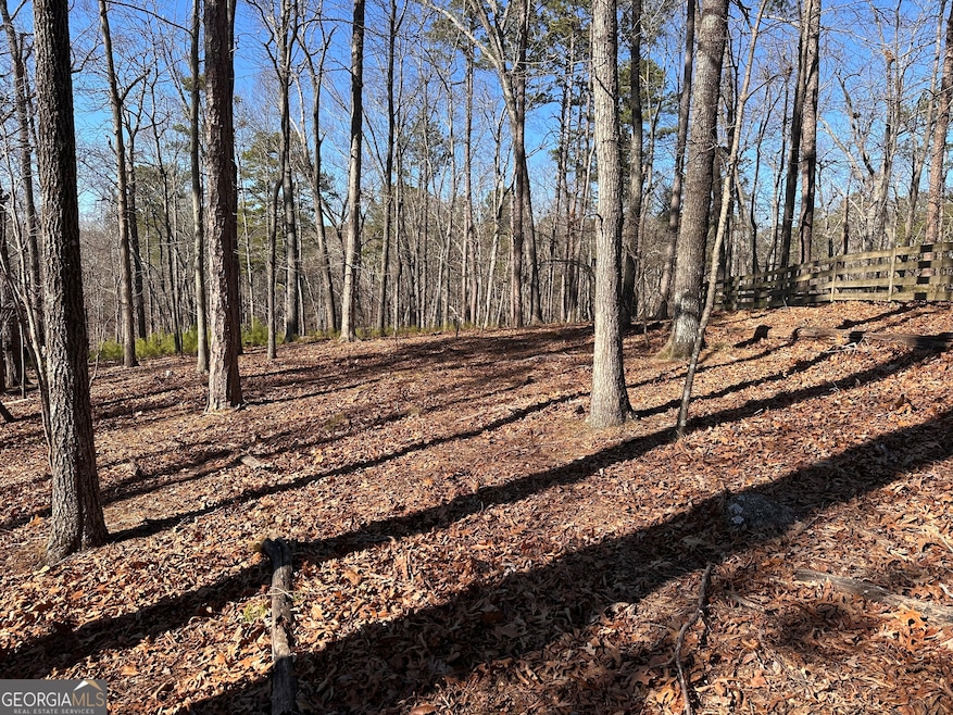 Huge Level area in the back of the lot perfect to 