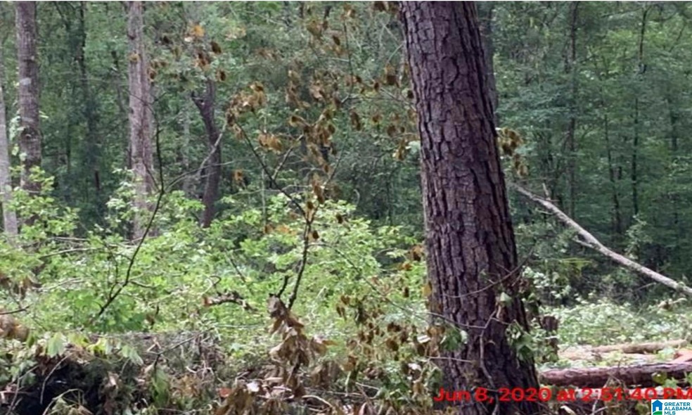 0 16th St unit 12 21431329, Calera, AL 35040 - photo 1