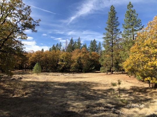 unlisted-address, Hayfork, CA 96041 - photo 1