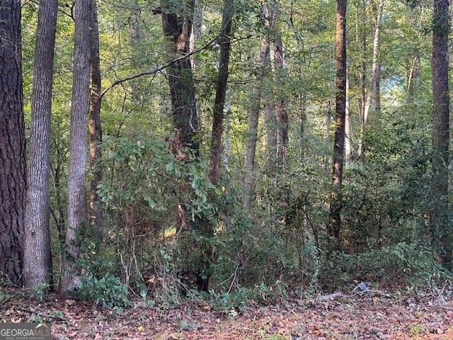 4524 Bon Ayer Cir, Macon, GA 31204 - photo 1