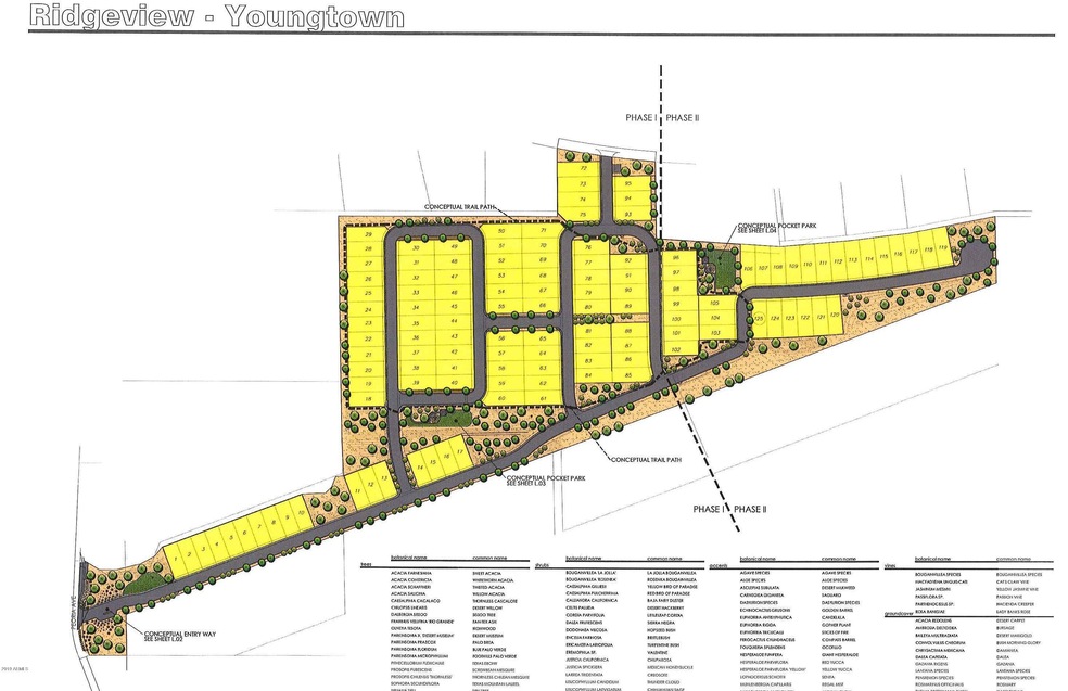 COlOR LANDSCAPE PLAN RIDGEVIEW cropped