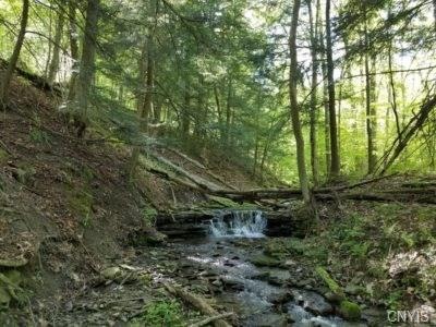 00 State Route 417, Greenwood, NY 14839 - photo 1