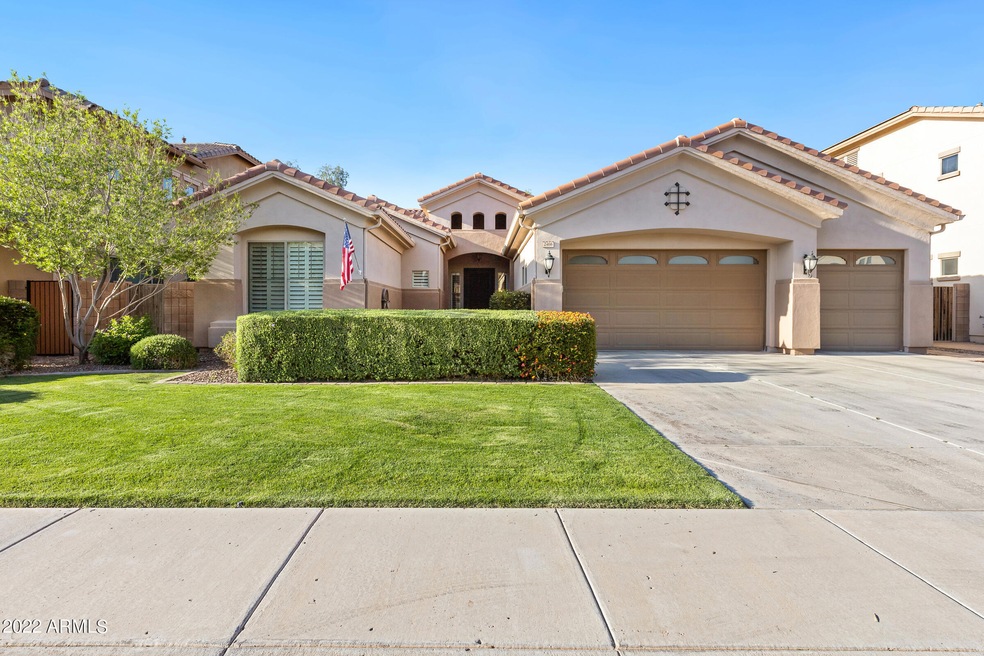 2466 E Ficus Way-1