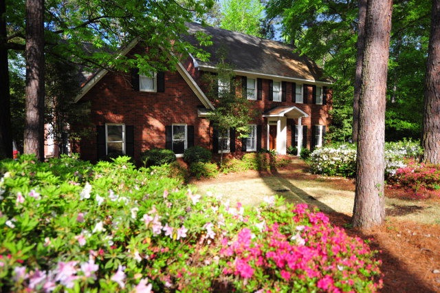 Main View