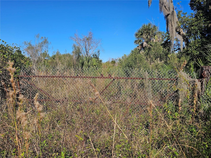 786 Fort Florida Rd, Debary, FL 32713 - photo 1