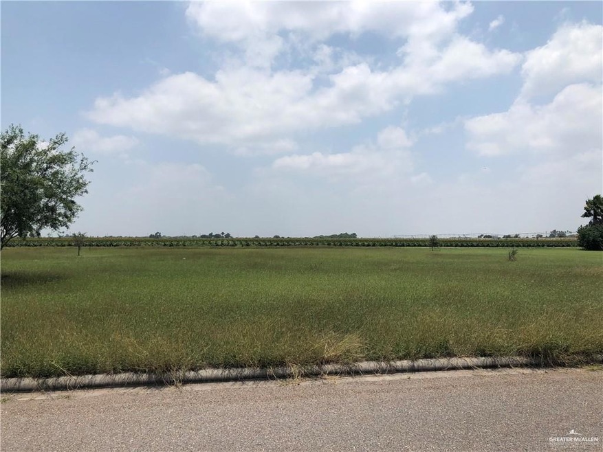 4304 Adare St, Mercedes, TX 78570 - photo 1