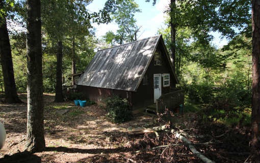 Main View