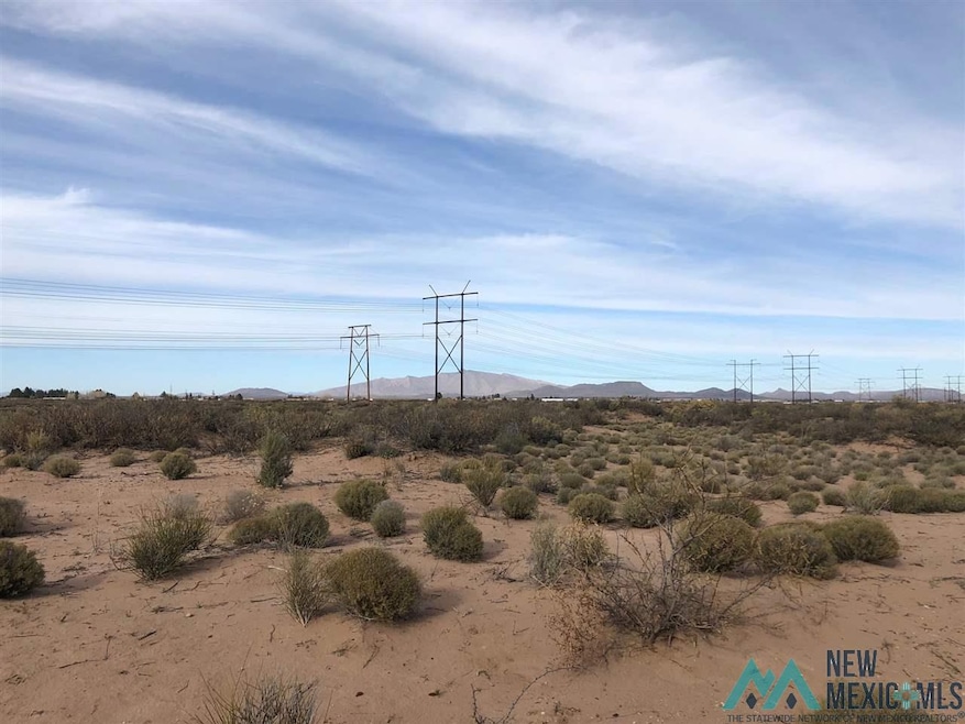 000 Sands Rd NW, Deming, NM 88030 - photo 1