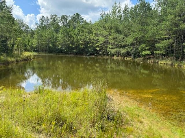273 Edgar Holmes Rd, Tylertown, MS 39667 - photo 1