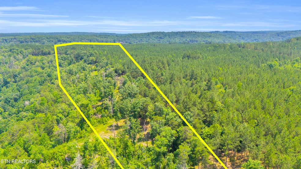 DJI_20250626030113_0212_D (1)
