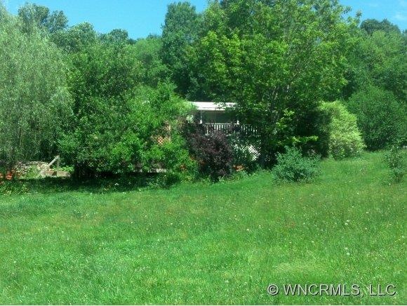 12 Blackberry Ln, Candler, NC 28715 - photo 1
