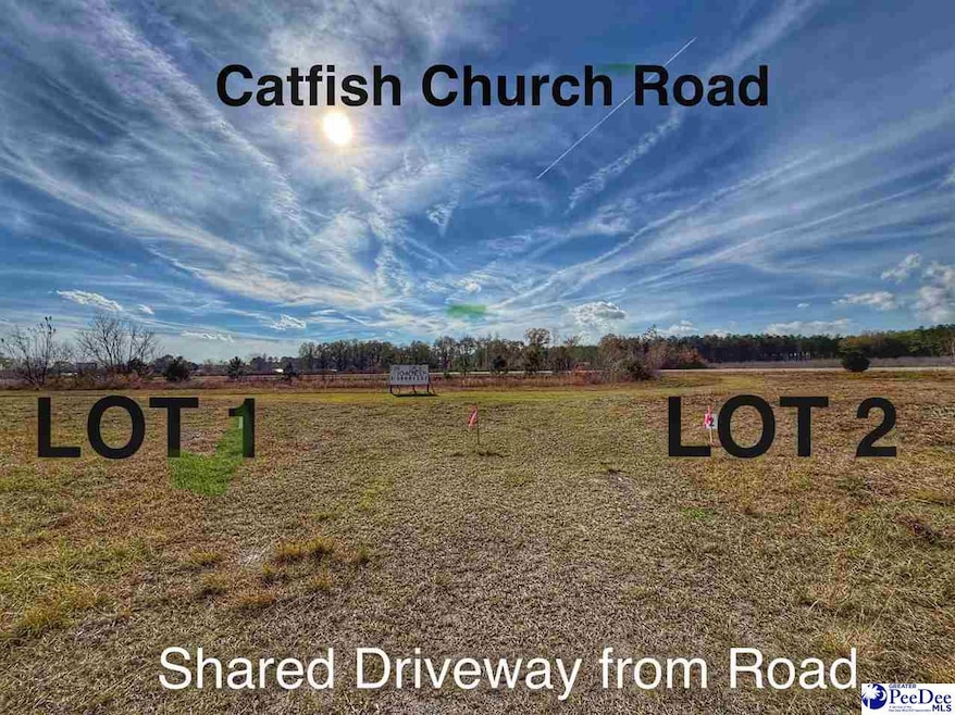 Lot 2 Catfish Church Rd, Latta, SC 29565 - photo 1