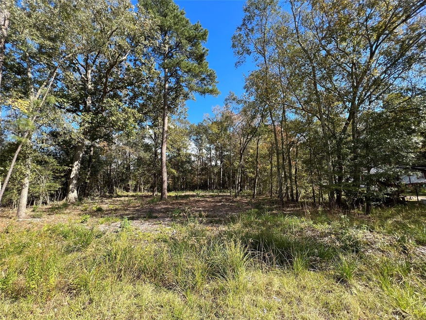 0 Crossroads unit 85841683, Splendora, TX 77372 - photo 1