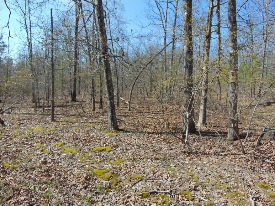 0 Tbd Co Rd 431, Poplar Bluff, MO 63901 - photo 1