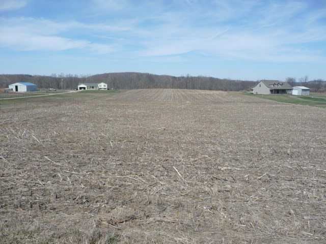 Primary Photo