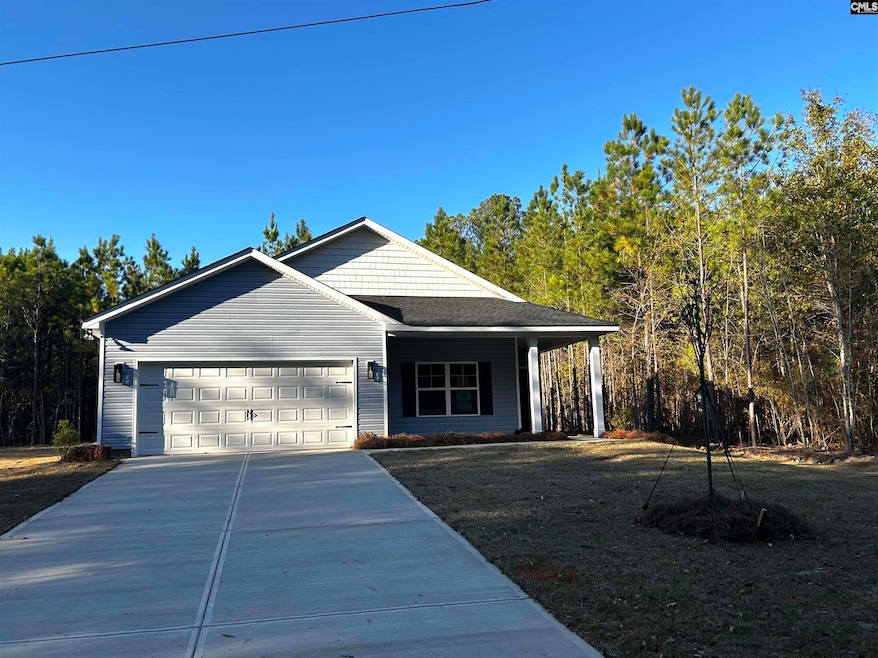 219 Evans St, Gaston, SC 29053 - photo 1