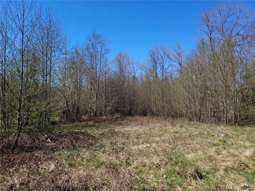 56 300th St NW, Stanwood, WA 98292 - photo 1