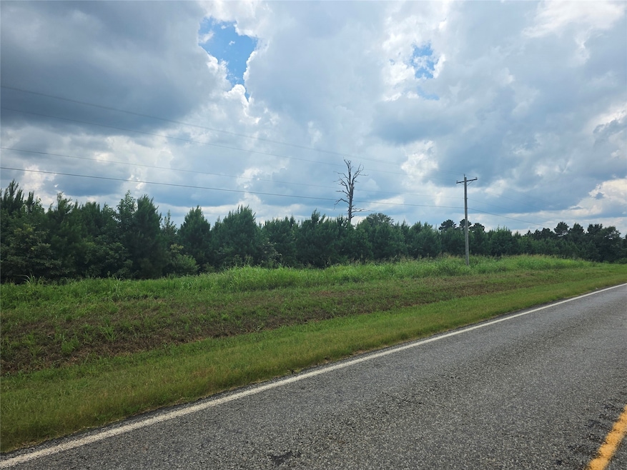 000 Louisiana 157, Plain Dealing, LA 71064 - photo 1