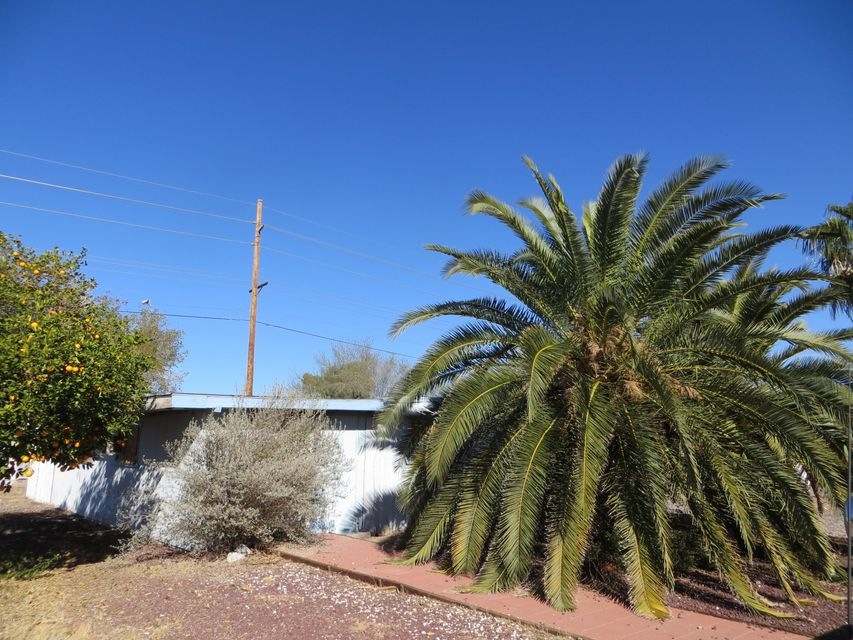 7702 E Gale Ave unit 839, Mesa, AZ 85209 - photo 1