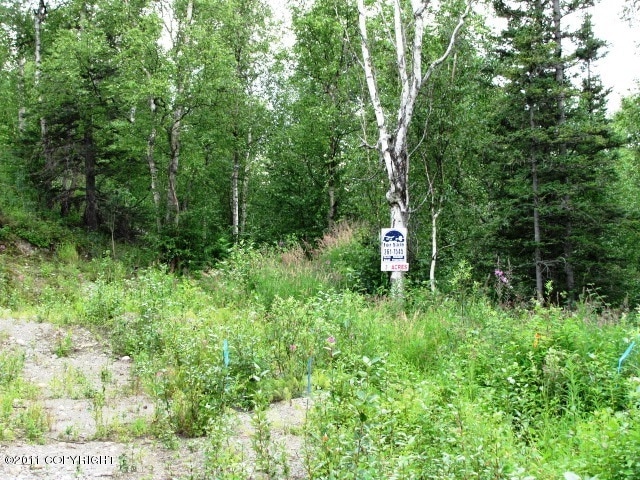 6531 E Upper Ct, Lakes, AK 99645 - photo 1