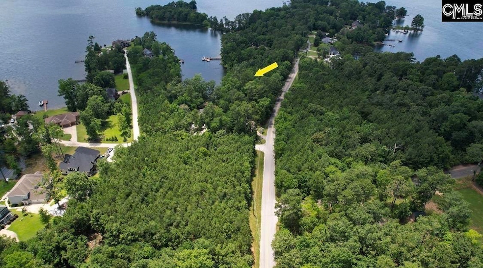 lot 2 Saint Thomas Church Rd, Chapin, SC 29036 - photo 1