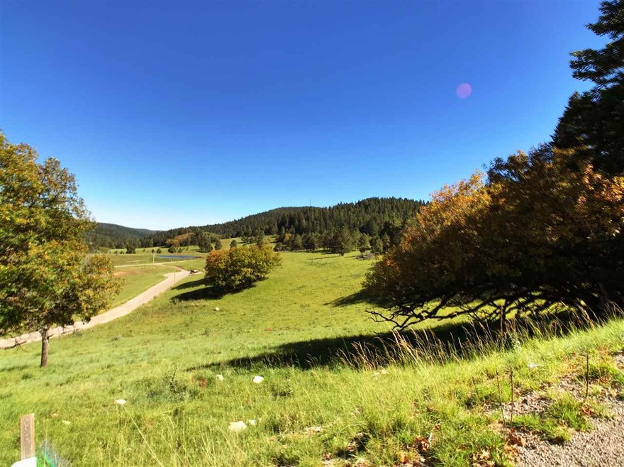 9 Elk Meadows unit 3, Cloudcroft, NM 88317 - photo 1