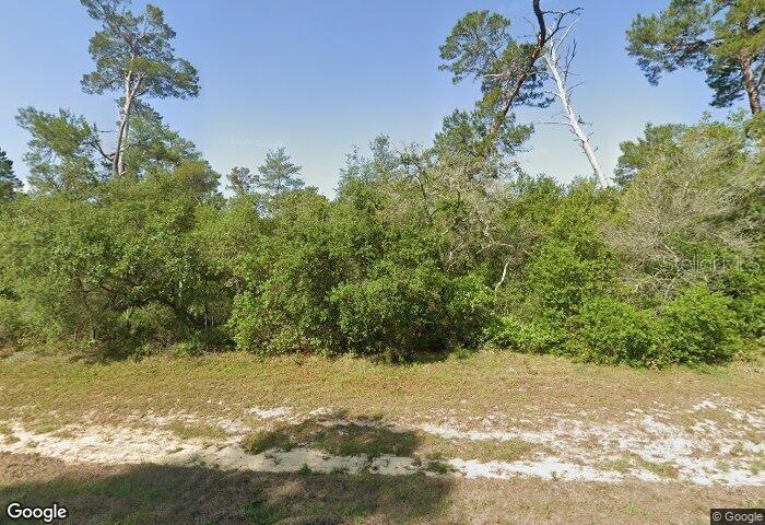 0 SW 21 Ave unit MFRTB8430646, Ocala, FL 34473 - photo 1