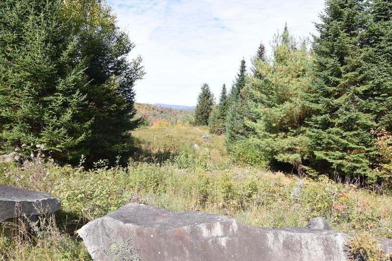 0 Steeple View Dr unit Lot 4 4779173, Bethlehem, NH 03574 - photo 1