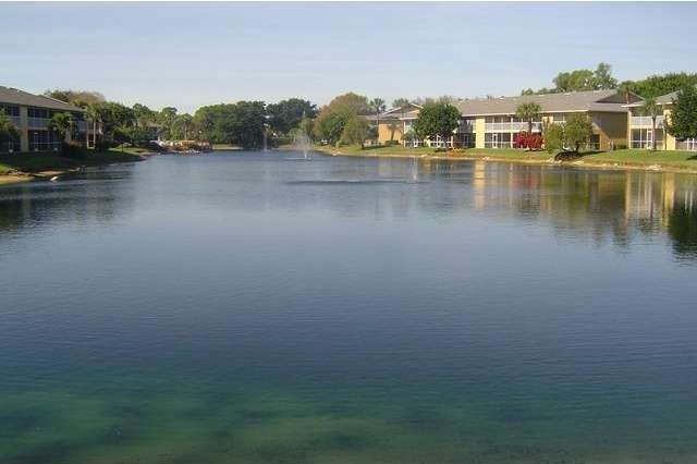 Lake View from Lanai