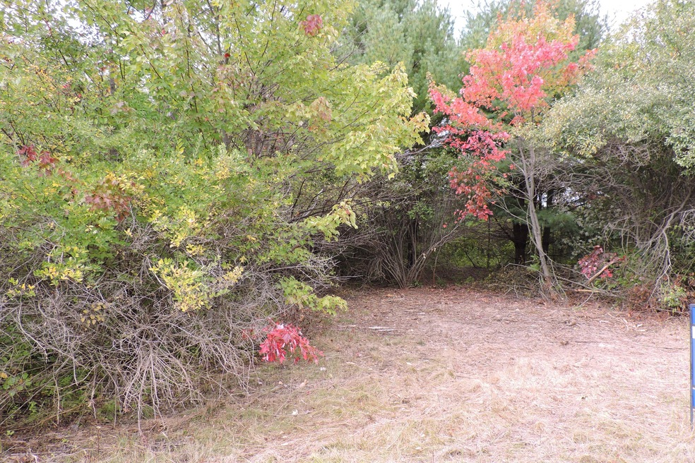 DSCN2996