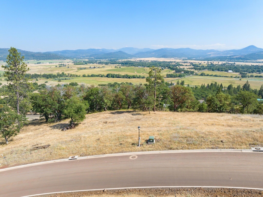 1-web-or-mls-DJI_0997