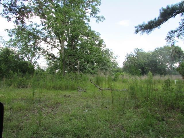 33 Draper Jones Rd unit 37, Colquitt, GA 39837 - photo 1