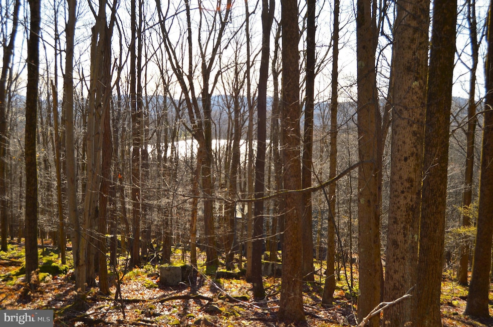 Lot 154 Daisey Dr, Terra Alta, WV 26764 - photo 1