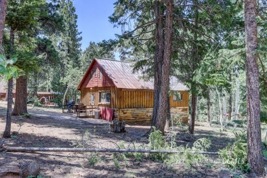 Cabin