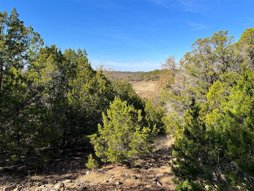 168 Cottongame Dr, Weatherford, TX 76088 - photo 1