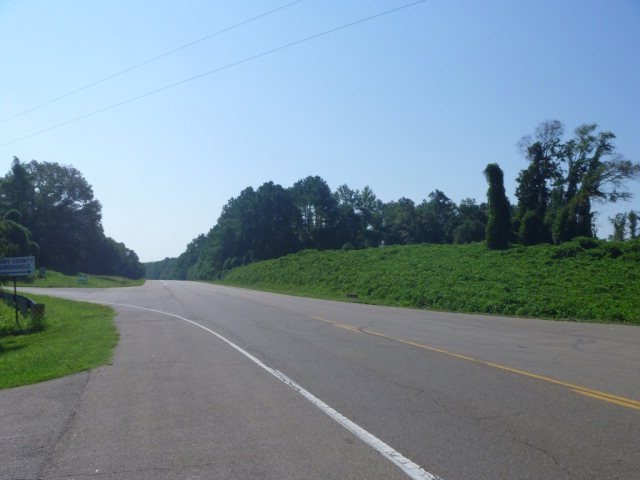 - Reynoldsburg Rd, Paris, TN 38242 - photo 1