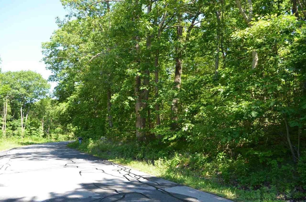 0 North Rd, Milan, NY 12571 - photo 1