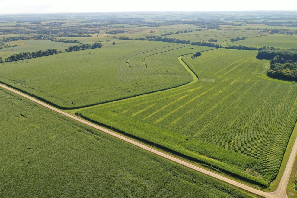 TBD 150th Ave SE, Dover, MN 55929 - photo 1