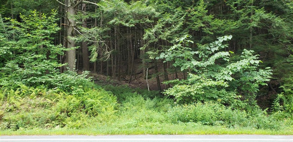 0 Swanzey Lake Rd, Swanzey, NH 03446 - photo 1