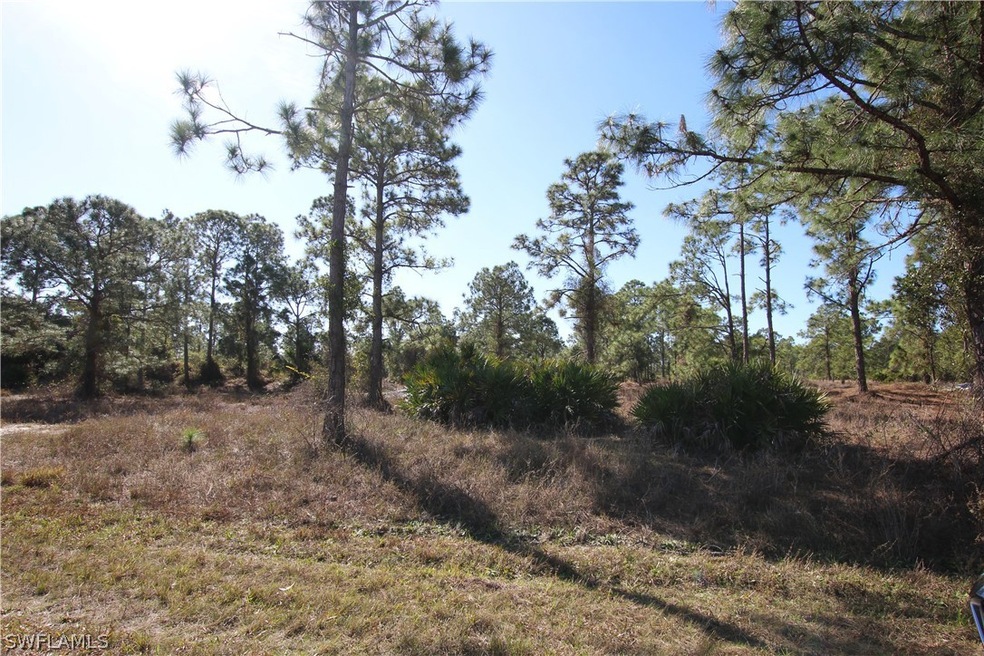 1032 Draper St, Lehigh Acres, FL 33974 - photo 1