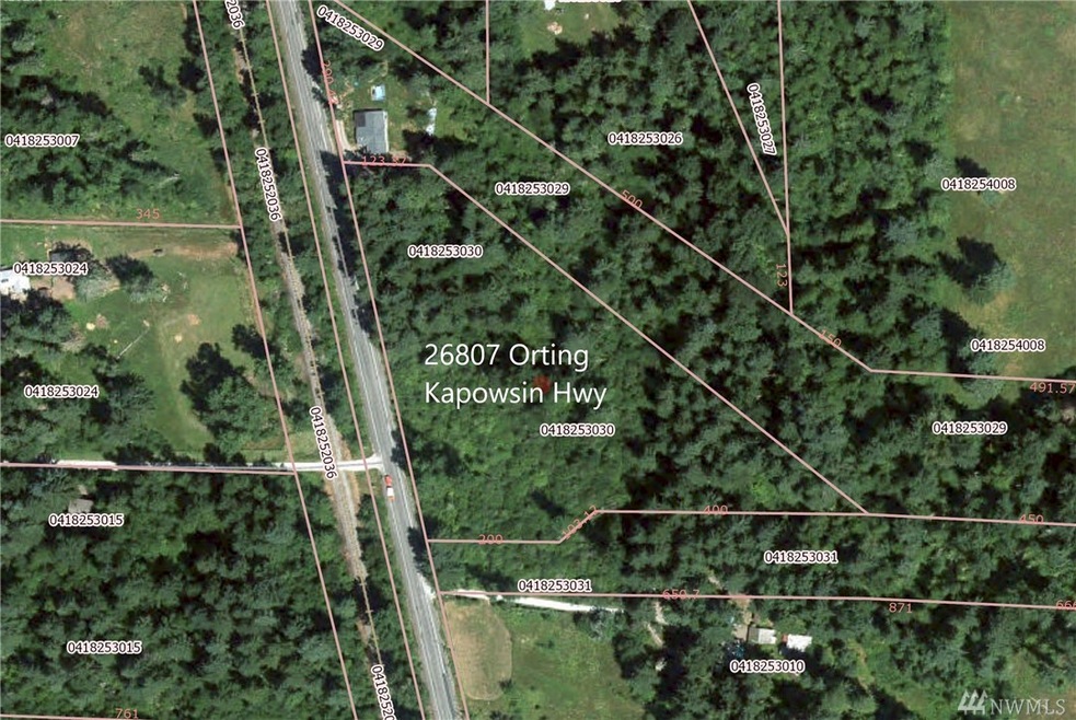 26807 Orting Kapowsin Hwy E, Graham, WA 98338 - photo 1