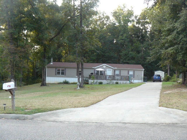 Main View