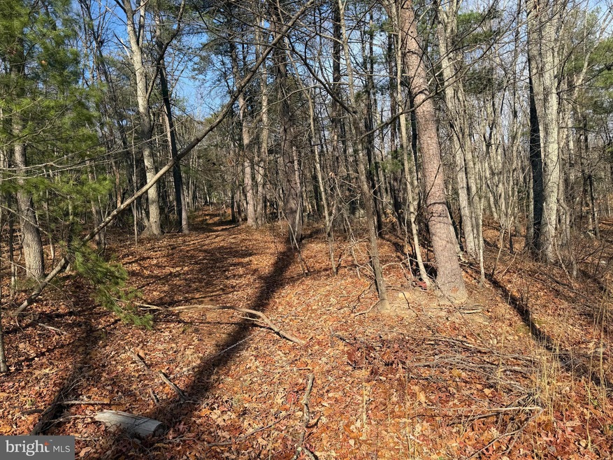 0 6 Edwards Run Rd unit WVHS2007094, Capon Bridge, WV 26711 - photo 1